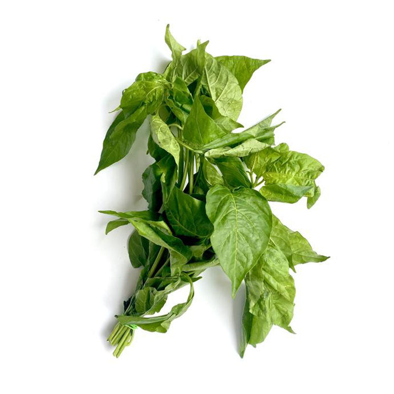 Dahon ng Sili