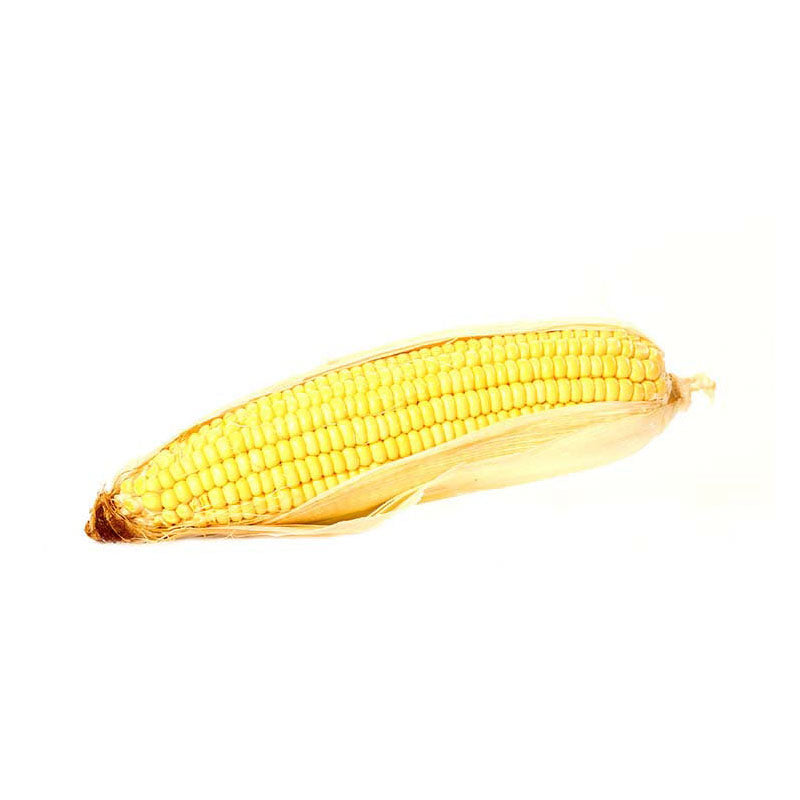 Yellow Corn
