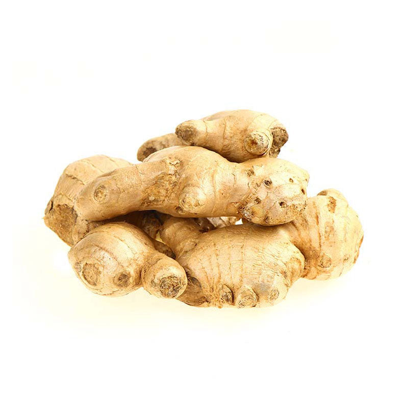 Ginger