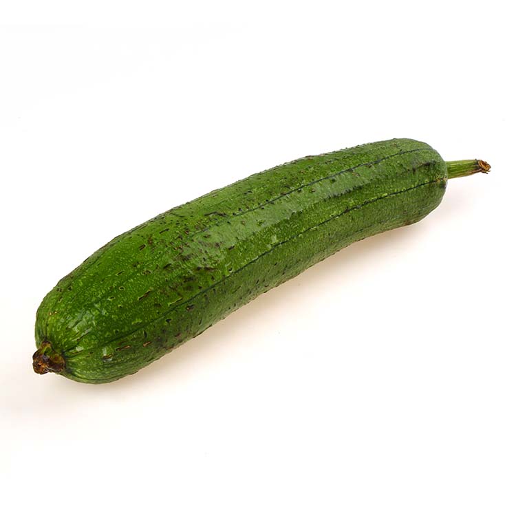 Patola