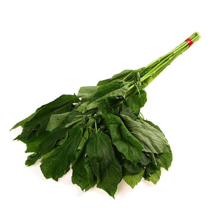 Saluyot