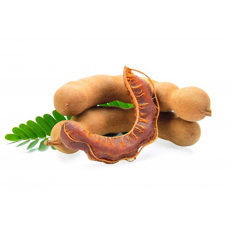 Sampalok