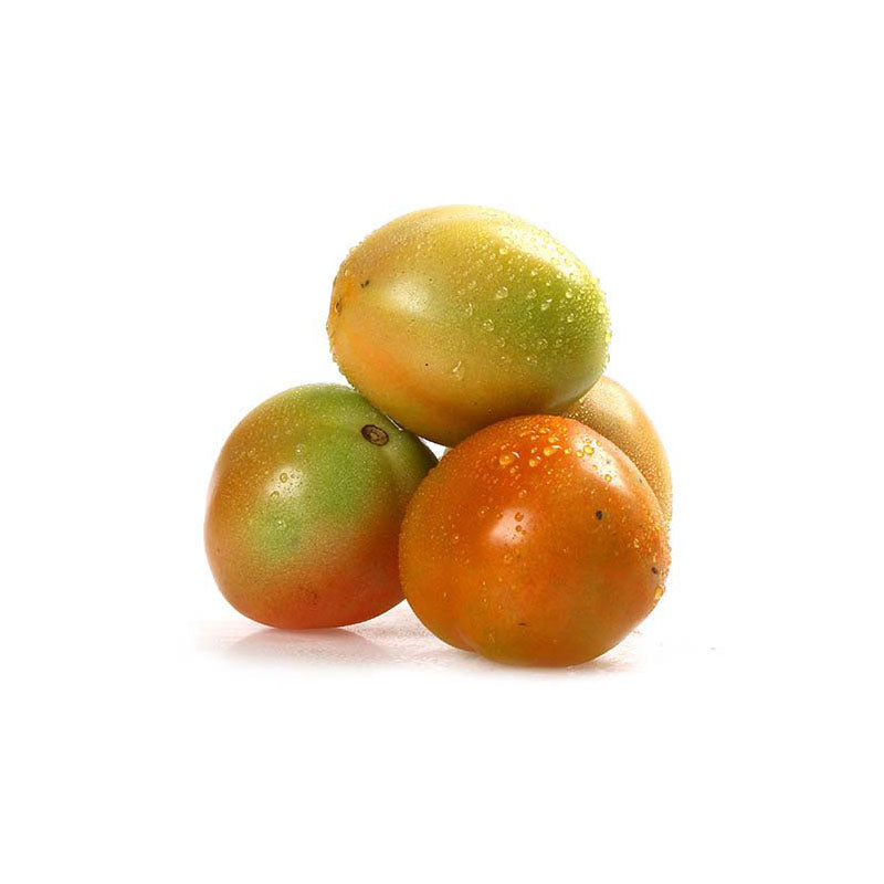 Tomato Native