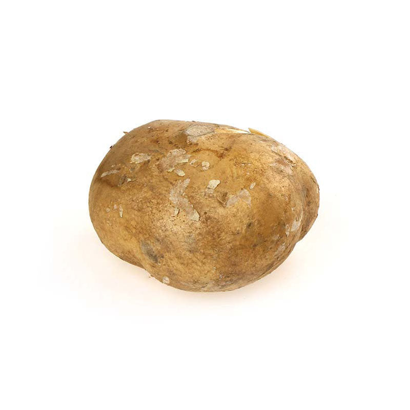 Singkamas