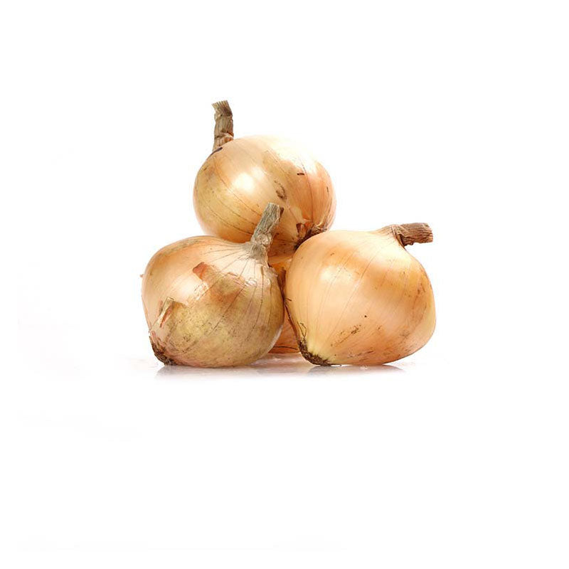 White Onion
