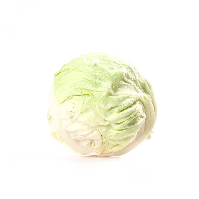 Cabbage
