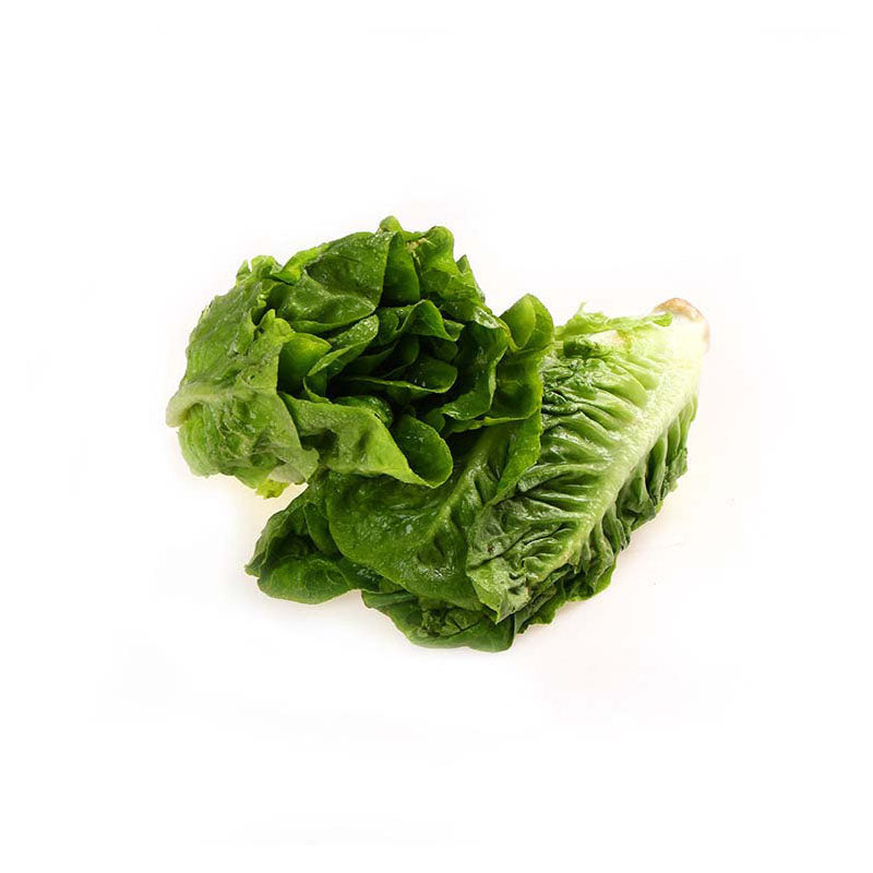 Romaine Lettuce