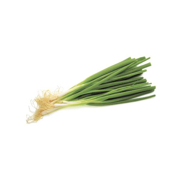 Spring Onion