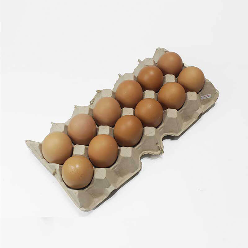 Egg Brown Organic